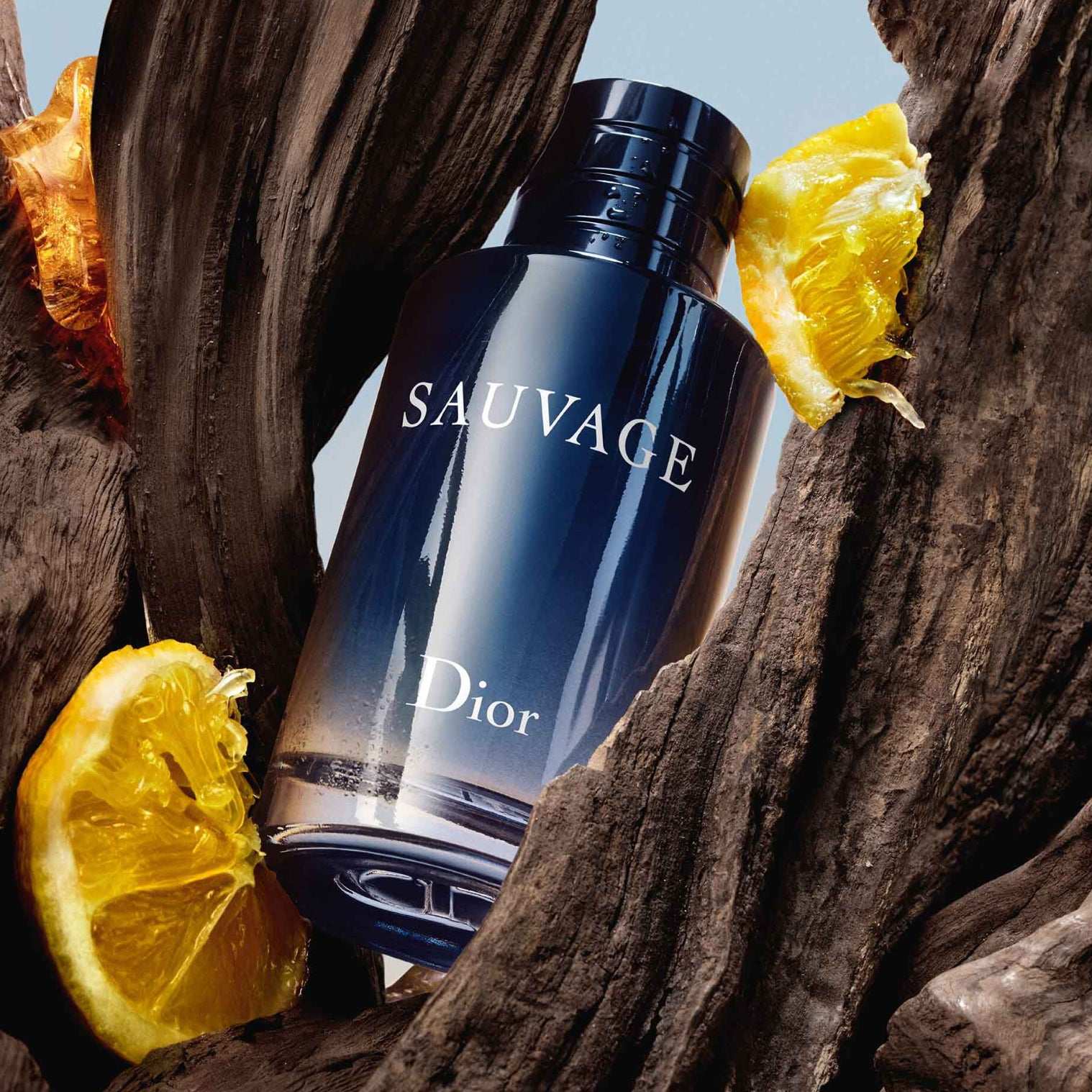 Dior Sauvage For Men EDT 100ML 3