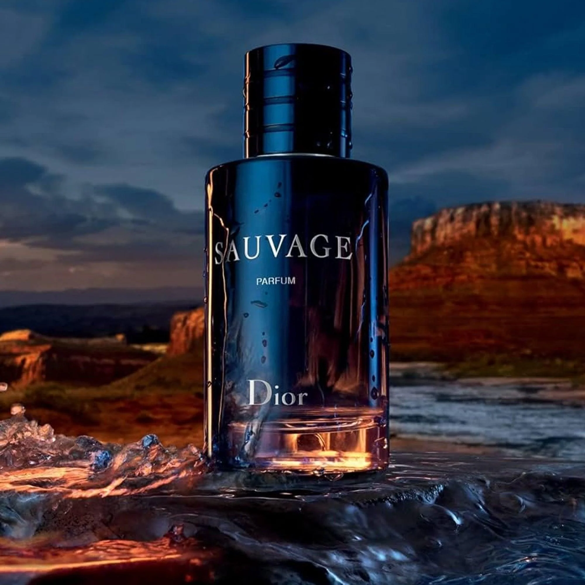 Dior Sauvage For Men Parfum 100ML 3